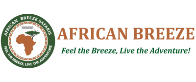 African Breeze Tours